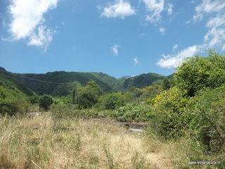 iorato san Giacomo-26-05-2013 12-45-41